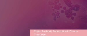 Understanding Improved Antibody Penetration